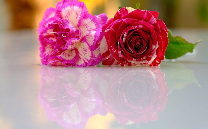 Защо розите и карамфилите правят красив букет